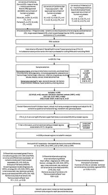 Alternative Splicing of Putative Stroke/Vascular Risk Factor Genes Expressed in Blood Following Ischemic Stroke Is Sexually Dimorphic and Cause-Specific